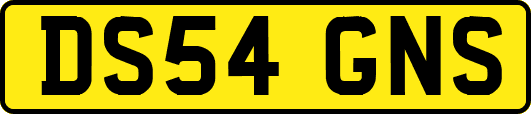 DS54GNS