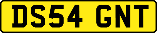DS54GNT