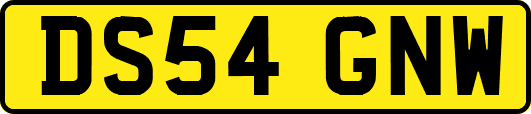 DS54GNW