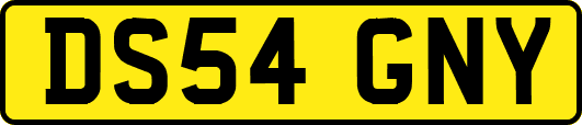 DS54GNY