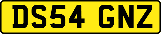 DS54GNZ