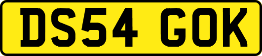 DS54GOK