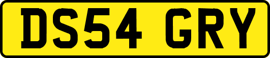DS54GRY