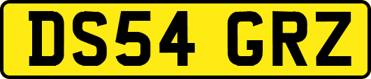 DS54GRZ