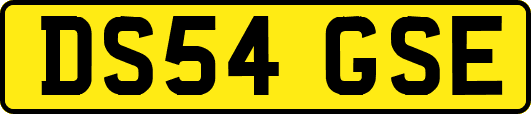 DS54GSE
