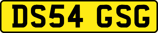 DS54GSG