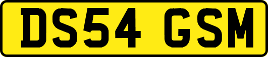 DS54GSM