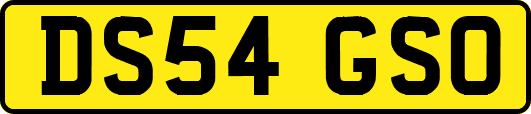 DS54GSO