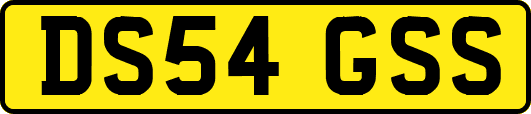 DS54GSS