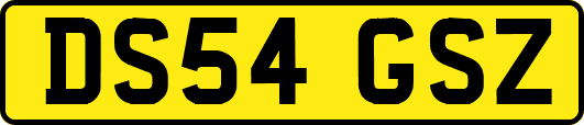 DS54GSZ