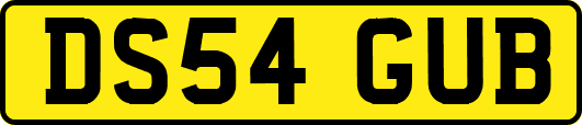 DS54GUB