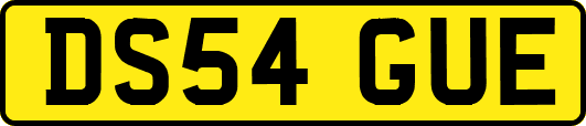 DS54GUE