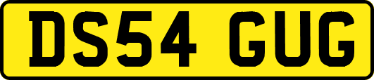 DS54GUG