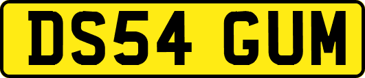 DS54GUM