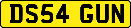 DS54GUN