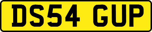 DS54GUP