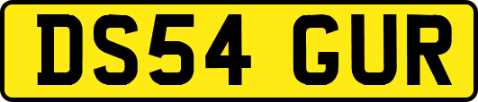 DS54GUR