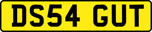 DS54GUT