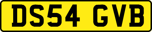 DS54GVB