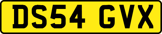 DS54GVX