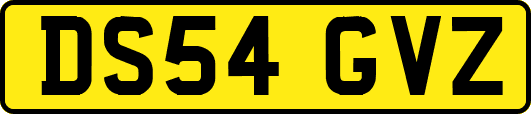 DS54GVZ