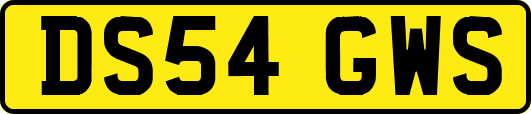 DS54GWS