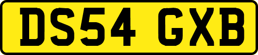 DS54GXB