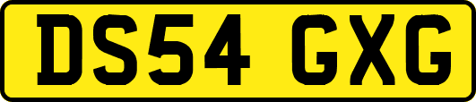 DS54GXG