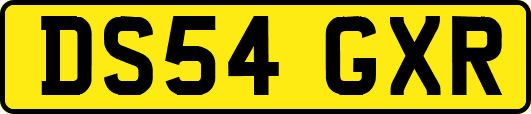 DS54GXR