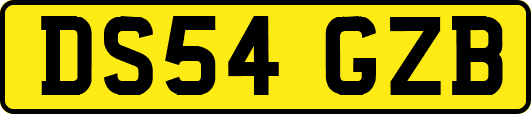 DS54GZB