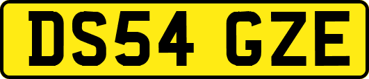 DS54GZE