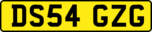 DS54GZG
