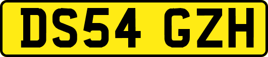 DS54GZH