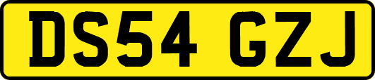 DS54GZJ