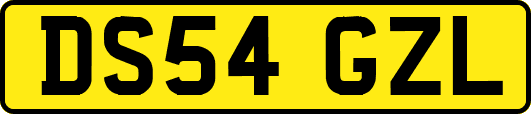 DS54GZL