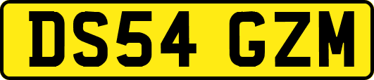 DS54GZM