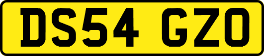 DS54GZO