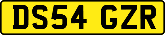 DS54GZR