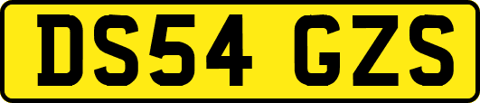DS54GZS