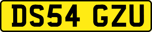 DS54GZU