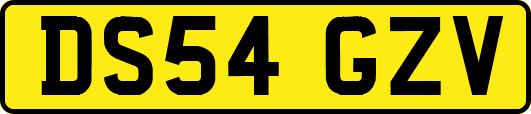 DS54GZV
