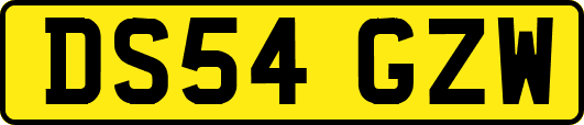 DS54GZW