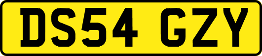 DS54GZY