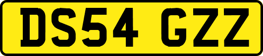 DS54GZZ