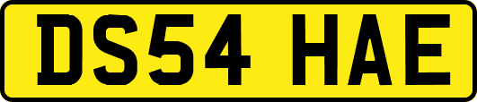 DS54HAE