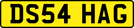 DS54HAG