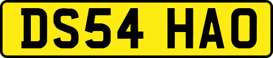 DS54HAO