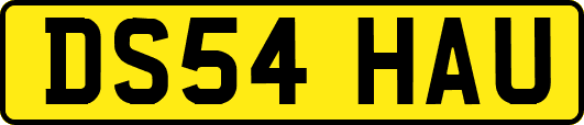 DS54HAU