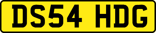 DS54HDG
