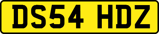 DS54HDZ